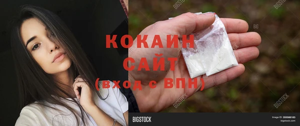 ГАЛЛЮЦИНОГЕННЫЕ ГРИБЫ Лабытнанги
