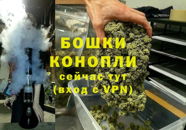 ГАЛЛЮЦИНОГЕННЫЕ ГРИБЫ Лабытнанги