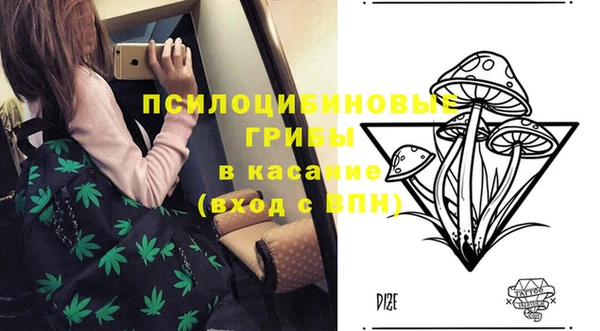 дживик Тутаев