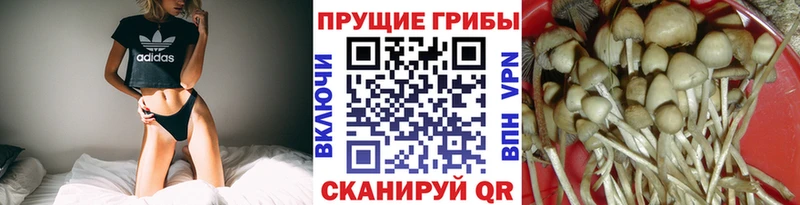 Псилоцибиновые грибы Magic Shrooms  Купить где  Алушта 